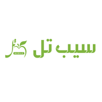 کد تخفیف لوازم جانبی در جشنواره عید عید سیب تل